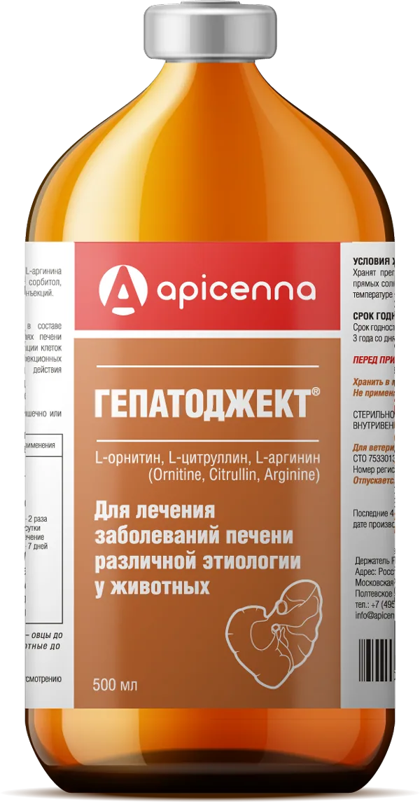 Упаковка Гепатоджект, 500 мл